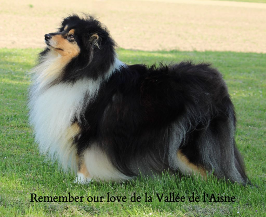 Remember our love de la Vallée de l'Aisne