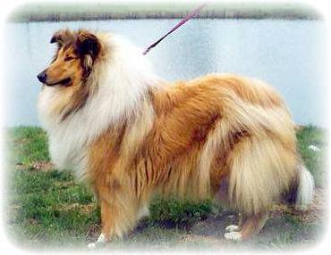 Princesse ozaria de la Vallée de l'Aisne