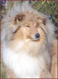 Aphrodite blonde de la Vallée de l'Aisne