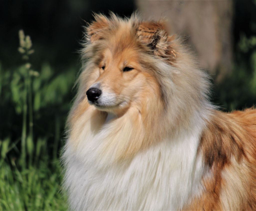 Our kind of love phoebe de la Vallée de l'Aisne
