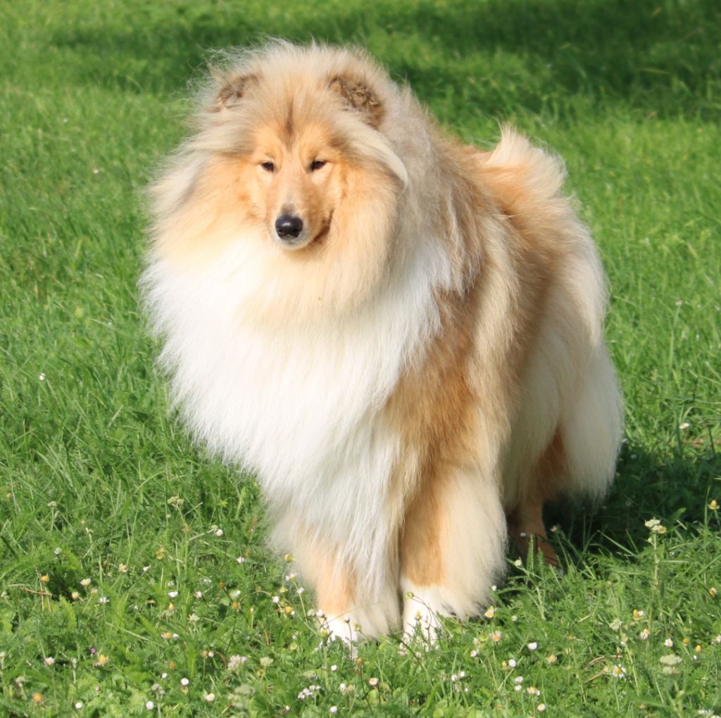 Thalia belle blonde de la Vallée de l'Aisne
